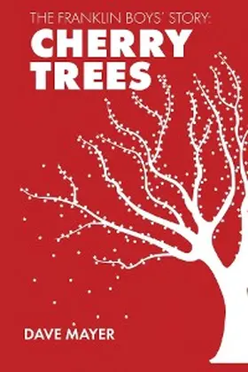 Mayer / McLeod |  The Franklin Boys' Story | eBook | Sack Fachmedien