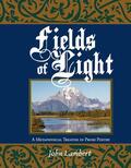 Lambert |  Fields of Light | eBook | Sack Fachmedien