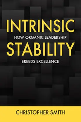 Smith |  Intrinsic Stability | eBook | Sack Fachmedien