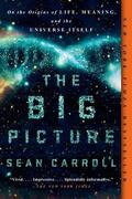 Carroll |  The Big Picture | Buch |  Sack Fachmedien