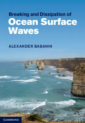 Babanin |  Breaking and Dissipation of Ocean Surface Waves | Buch |  Sack Fachmedien
