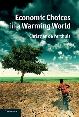 de Perthuis |  Economic Choices in a Warming World | Buch |  Sack Fachmedien