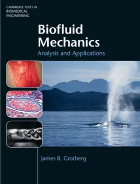 Grotberg |  Biofluid Mechanics | Buch |  Sack Fachmedien