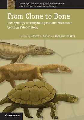 Asher / Müller |  From Clone to Bone | Buch |  Sack Fachmedien