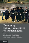 Dickinson / Katselli / Murray |  Examining Critical Perspectives on Human Rights | Buch |  Sack Fachmedien