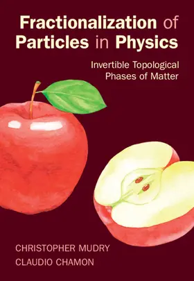Chamon / Mudry |  Fractionalization of Particles in Physics | Buch |  Sack Fachmedien