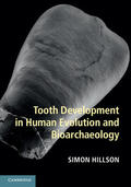 Hillson |  Tooth Development in Human Evolution and Bioarchaeology | Buch |  Sack Fachmedien