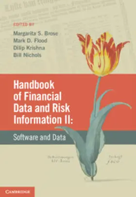 Brose / Flood / Krishna |  Handbook of Financial Data and Risk Information II | Buch |  Sack Fachmedien
