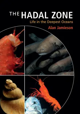 Jamieson | The Hadal Zone | Buch | 978-1-107-01674-3 | sack.de