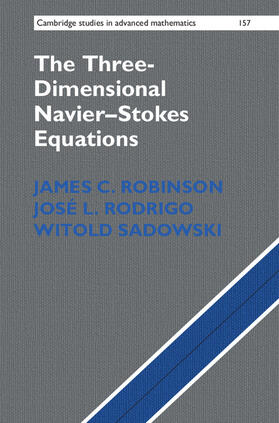 Robinson / Rodrigo / Sadowski | The Three-Dimensional Navier-Stokes Equations | Buch | 978-1-107-01966-9 | sack.de