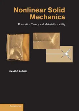 Bigoni |  Nonlinear Solid Mechanics | Buch |  Sack Fachmedien