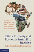 Hino / Lonsdale / Ranis |  Ethnic Diversity and Economic Instability in Africa | Buch |  Sack Fachmedien