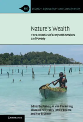 van Beukering / Papyrakis / Bouma |  Nature's Wealth | Buch |  Sack Fachmedien