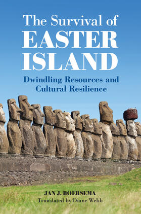 Boersema | The Survival of Easter Island | Buch | 978-1-107-02770-1 | sack.de