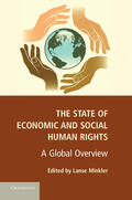 Minkler |  The State of Economic and Social Human Rights | Buch |  Sack Fachmedien