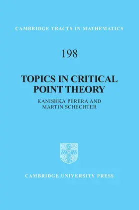 Perera / Schechter |  Topics in Critical Point Theory | Buch |  Sack Fachmedien