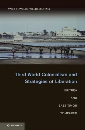 Weldemichael |  Third World Colonialism and Strategies of Liberation | Buch |  Sack Fachmedien