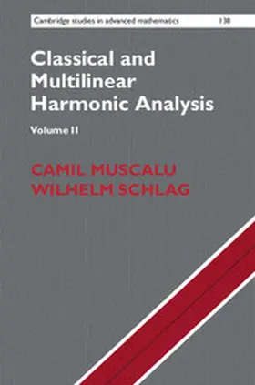 Muscalu / Schlag |  Classical and Multilinear Harmonic Analysis | Buch |  Sack Fachmedien