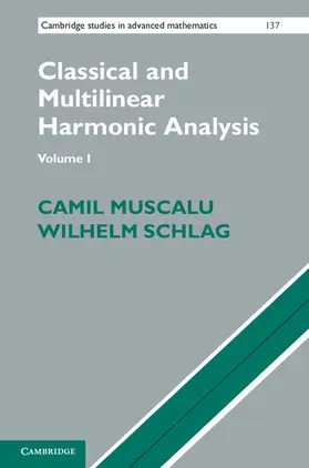 Muscalu / Schlag | Classical and Multilinear Harmonic Analysis 2 Volume Set | Buch | 978-1-107-03262-0 | www.sack.de