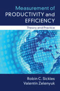 Sickles / Zelenyuk |  Measurement of Productivity and Efficiency | Buch |  Sack Fachmedien