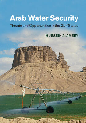 Amery | Arab Water and Food Security | Buch | sack.de