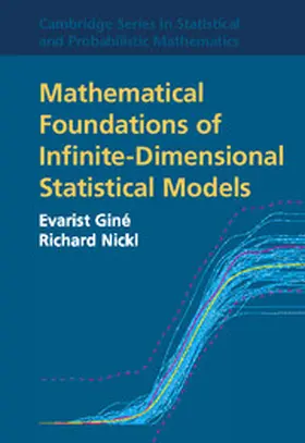 Giné / Nickl | Mathematical Foundations of Infinite-Dimensional Statistical Models | Buch | 978-1-107-04316-9 | www.sack.de