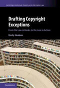 Hudson |  Drafting Copyright Exceptions | Buch |  Sack Fachmedien