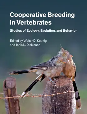 Koenig / Dickinson |  Cooperative Breeding in Vertebrates | Buch |  Sack Fachmedien