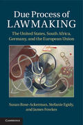 Rose-Ackerman / Egidy / Fowkes |  Due Process of Lawmaking | Buch |  Sack Fachmedien