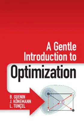 Guenin / Könemann / Tunçel |  A Gentle Introduction to Optimization | Buch |  Sack Fachmedien