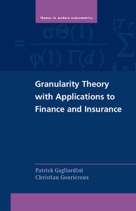 Gagliardini / Gouriéroux | Granularity Theory with Applications to Finance and Insurance | Buch | 978-1-107-07083-7 | sack.de