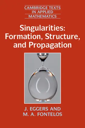 Eggers / Fontelos |  Singularities: Formation, Structure, and Propagation | Buch |  Sack Fachmedien