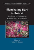 Gerdes |  Illuminating Dark Networks | Buch |  Sack Fachmedien