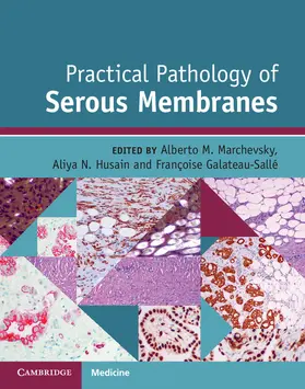 Marchevsky / Husain / Galateau-Sallé |  Practical Pathology of Serous Membranes | Buch |  Sack Fachmedien