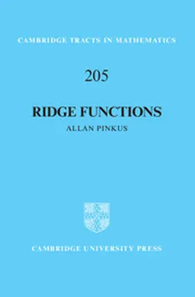 Pinkus | Ridge Functions | Buch | 978-1-107-12439-4 | sack.de