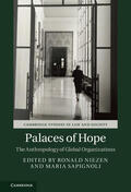 Niezen / Sapignoli |  Palaces of Hope | Buch |  Sack Fachmedien
