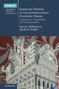 Rolland / Trubek |  Emerging Powers in the International Economic Order | Buch |  Sack Fachmedien