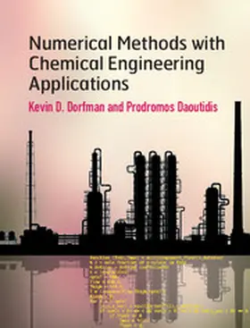 Dorfman / Daoutidis |  Numerical Methods with Chemical Engineering Applications | Buch |  Sack Fachmedien