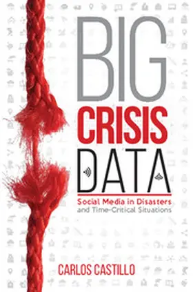 Castillo |  Big Crisis Data | Buch |  Sack Fachmedien