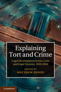 Dyson |  Explaining Tort and Crime | Buch |  Sack Fachmedien