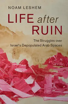 Leshem |  Life after Ruin | Buch |  Sack Fachmedien