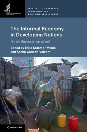 Kraemer-Mbula / Wunsch-Vincent |  The Informal Economy in Developing Nations | Buch |  Sack Fachmedien