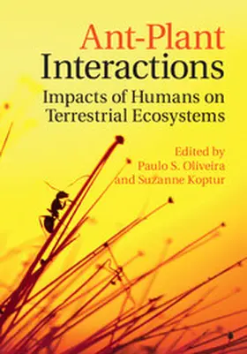 Oliveira / Koptur | Ant-Plant Interactions | Buch | 978-1-107-15975-4 | sack.de