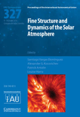 Vargas Dom&#237;nguez / Kosovichev / Antolin | Fine Structure and Dynamics of the Solar Photosphere (IAU S327) | Buch | 978-1-107-17004-9 | sack.de