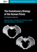 Wall-Scheffler / Kurki / Auerbach |  The Evolutionary Biology of the Human Pelvis | Buch |  Sack Fachmedien