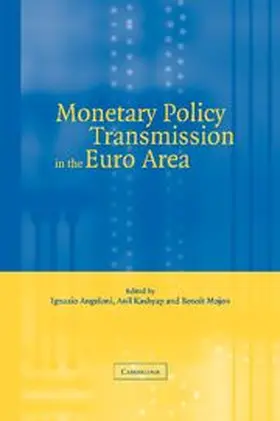 Angeloni / Kashyap / Mojon |  Monetary Policy Transmission in the Euro Area | Buch |  Sack Fachmedien