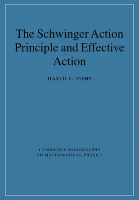 Toms |  The Schwinger Action Principle and Effective Action | Buch |  Sack Fachmedien