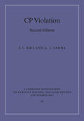 Bigi / Sanda |  CP Violation | Buch |  Sack Fachmedien