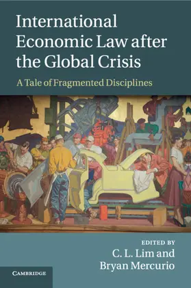 Lim / Mercurio |  International Economic Law after the Global Crisis | Buch |  Sack Fachmedien