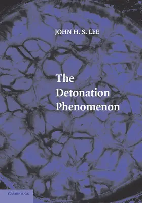 Lee |  The Detonation Phenomenon | Buch |  Sack Fachmedien